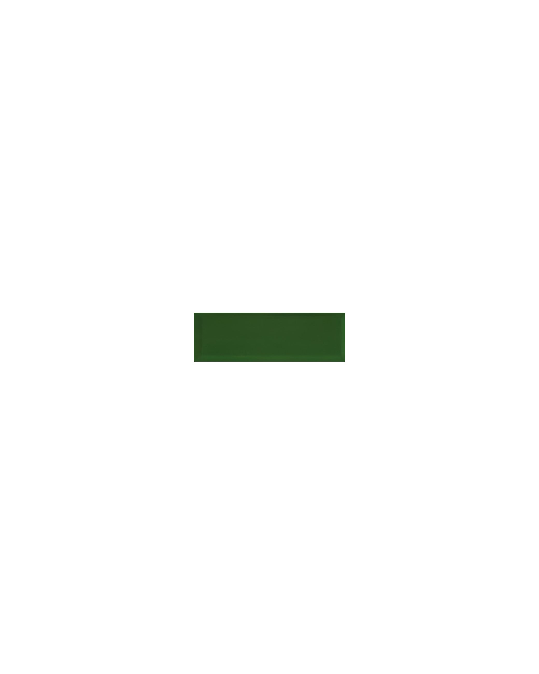 Metro Bevel Green Gloss - 300 x 100mm