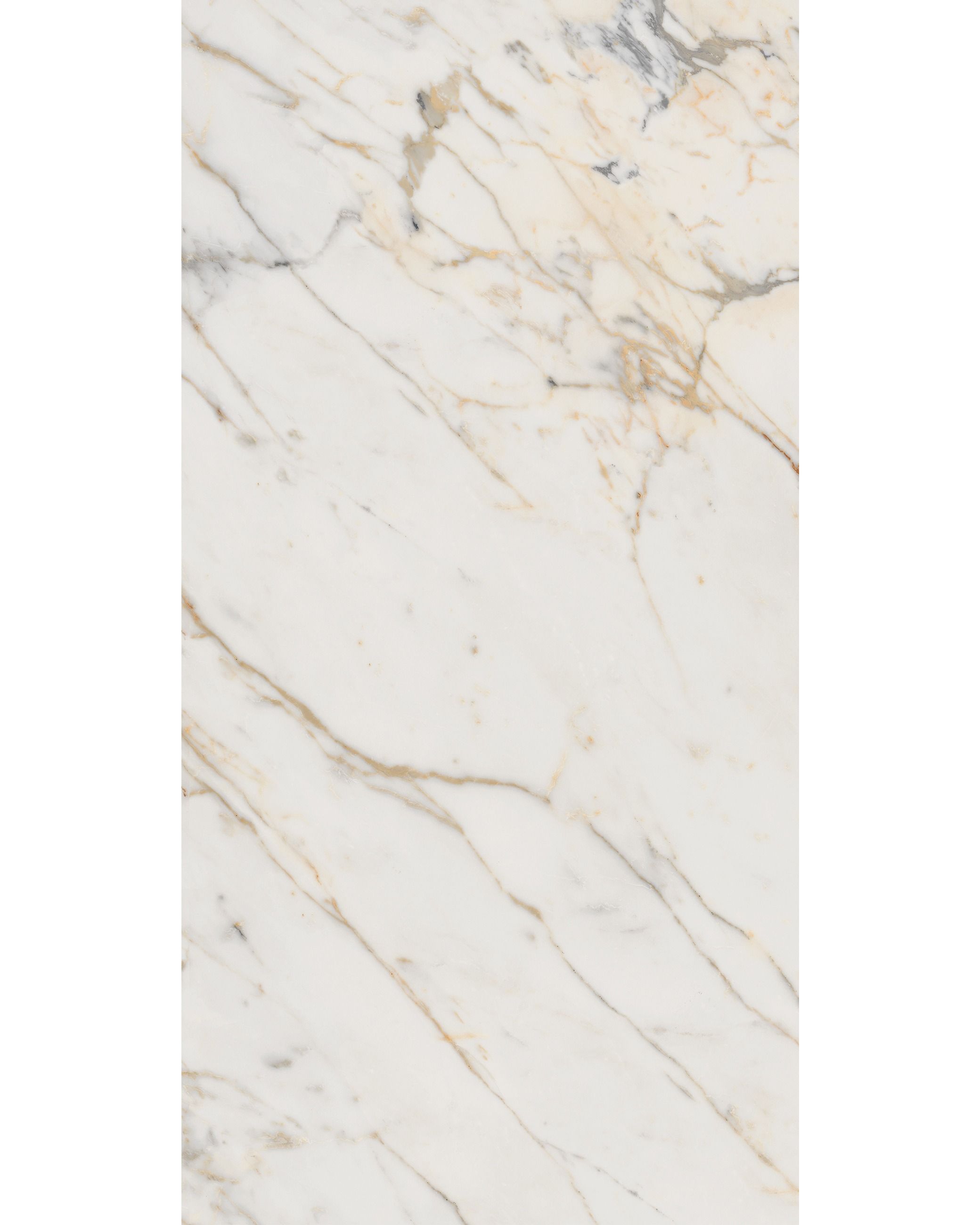Richmond Golden White Polished - 1200 x 600mm