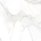 Carrara Gold Polished