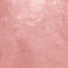 Rose Mallow