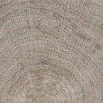 Scandi Wood Grey - 1200 x 298mm